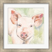 Sunny the Pig I Fine Art Print