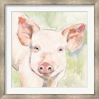 Sunny the Pig I Fine Art Print