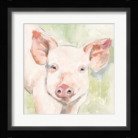 Sunny the Pig I Fine Art Print