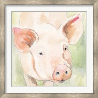 Sunny the Pig II Fine Art Print