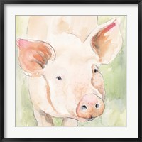 Sunny the Pig II Fine Art Print