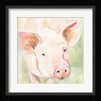 Sunny the Pig II Fine Art Print