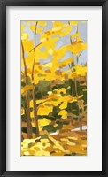 Autumn Hike II Framed Print