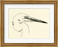 Heron Head I Fine Art Print
