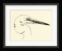 Heron Head I Framed Print