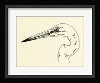 Heron Head II Framed Print