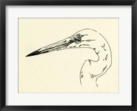 Heron Head II Framed Print