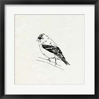 Bird Feeder Friends I Framed Print