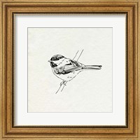 Bird Feeder Friends II Fine Art Print
