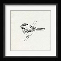 Bird Feeder Friends II Framed Print