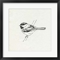 Bird Feeder Friends II Framed Print