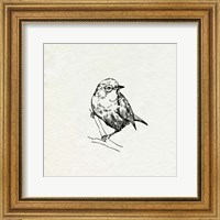 Bird Feeder Friends III Fine Art Print