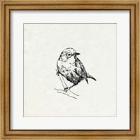 Bird Feeder Friends III Fine Art Print