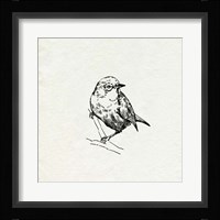 Bird Feeder Friends III Framed Print