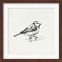 Bird Feeder Friends IV Fine Art Print