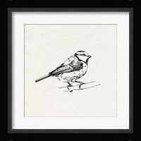 Bird Feeder Friends IV Framed Print