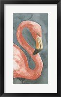 Flamingo Study I Fine Art Print