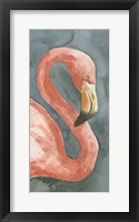 Flamingo Study I Fine Art Print