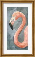 Flamingo Study II Fine Art Print
