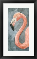 Flamingo Study II Fine Art Print