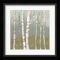 Simple Birchline II Framed Print