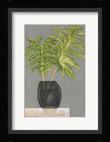 Frond in Vase II Framed Print