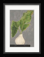 Frond in Vase III Framed Print