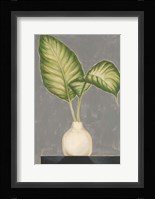 Frond in Vase IV Framed Print