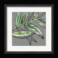 Tropic Botanicals I Framed Print