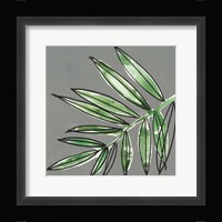 Tropic Botanicals IX Framed Print