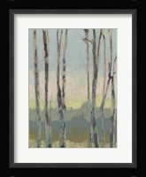 Horizon Through the Trees II Framed Print