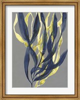 Kelp Embrace I Fine Art Print