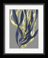 Kelp Embrace I Framed Print