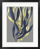 Kelp Embrace I Fine Art Print