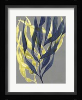 Kelp Embrace II Framed Print