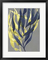 Kelp Embrace II Framed Print