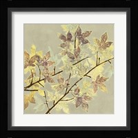 Renewed Maple I Framed Print