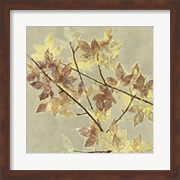 Renewed Maple II Fine Art Print