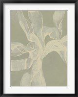 White Ribbon on Celadon II Fine Art Print