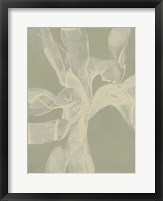 White Ribbon on Celadon II Fine Art Print