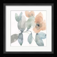 Water and Petals II Framed Print