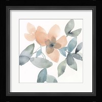 Water and Petals III Framed Print
