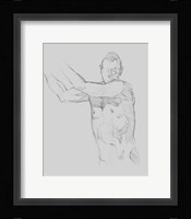 Male Torso Sketch III Framed Print