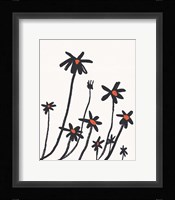Young Coneflowers I Framed Print