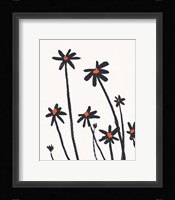 Young Coneflowers II Fine Art Print