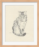 House Cat I Fine Art Print