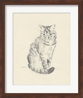 House Cat I Fine Art Print