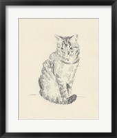 House Cat I Framed Print