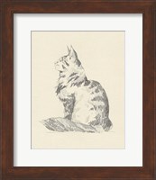 House Cat II Fine Art Print