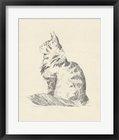 House Cat II Framed Print